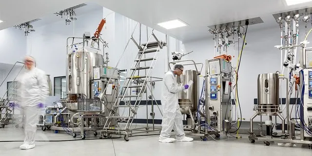 From Petri Dish to Production Floor: Why Synthetic Biology Cannot Scale Its Way Out of the Lab
